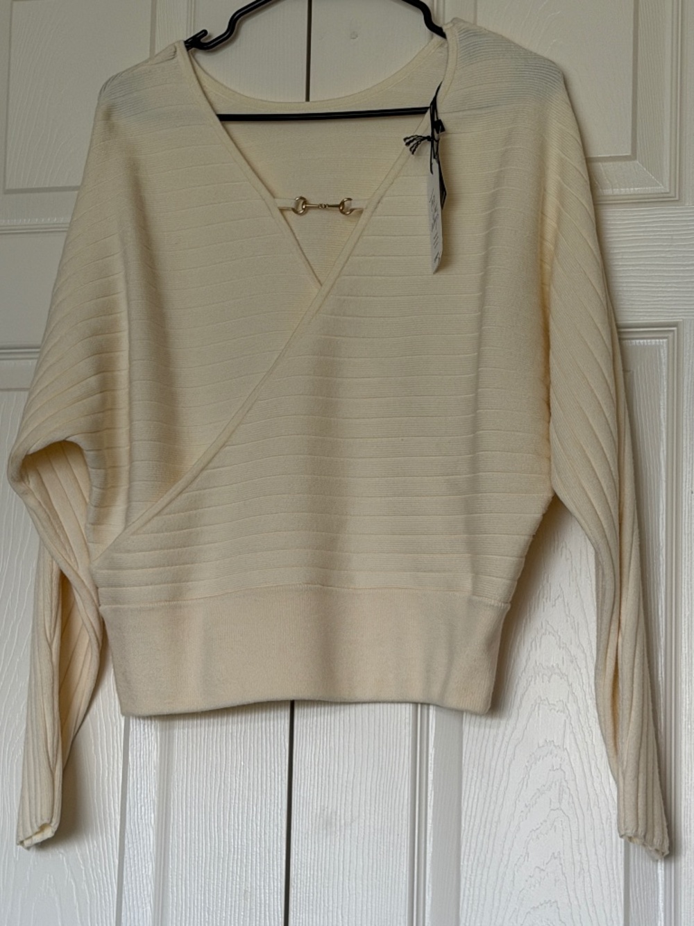 Express Sweater NWT